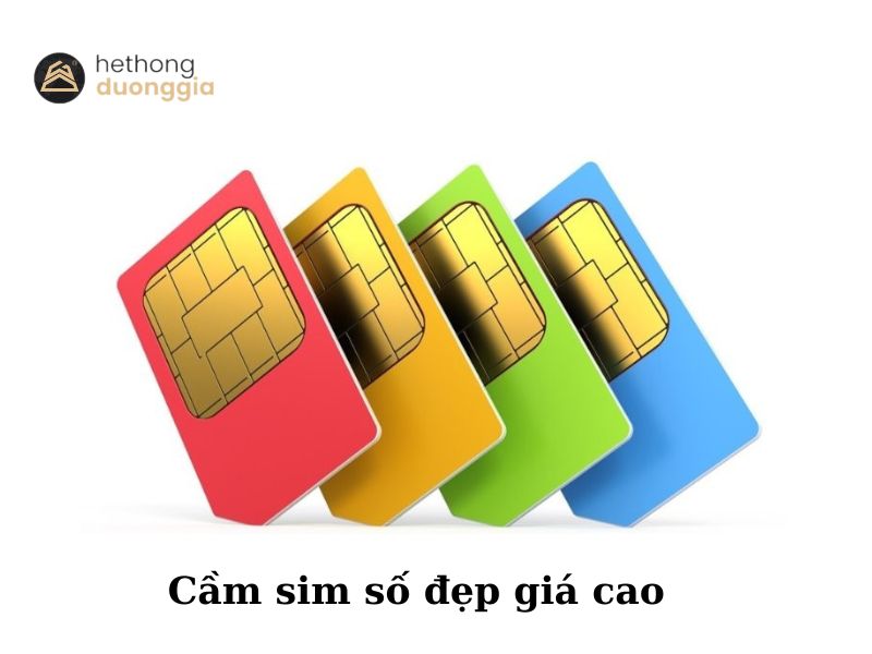 Dương Gia - Địa chỉ cầm sim số đẹp giá cao uy tín 